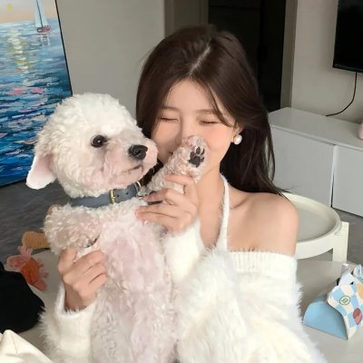 杨六郎智破连环计