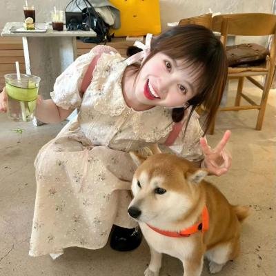 行动日