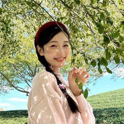 小小的叛国者